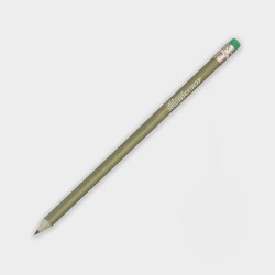 Recycled Money Pencil
