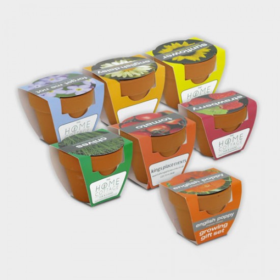 Flower Set - Tiny Terracotta Pot