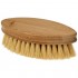 Cleo oval scrubbing brush 