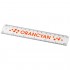 Renzo 15 cm plastic ruler 